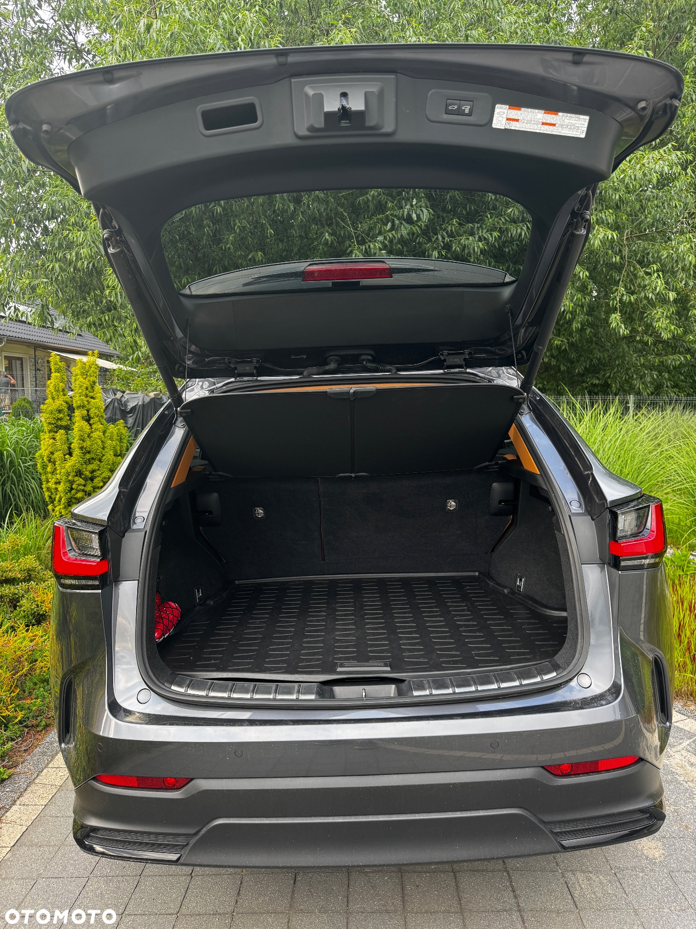 Lexus NX 300 GPF Prestige AWD - 3