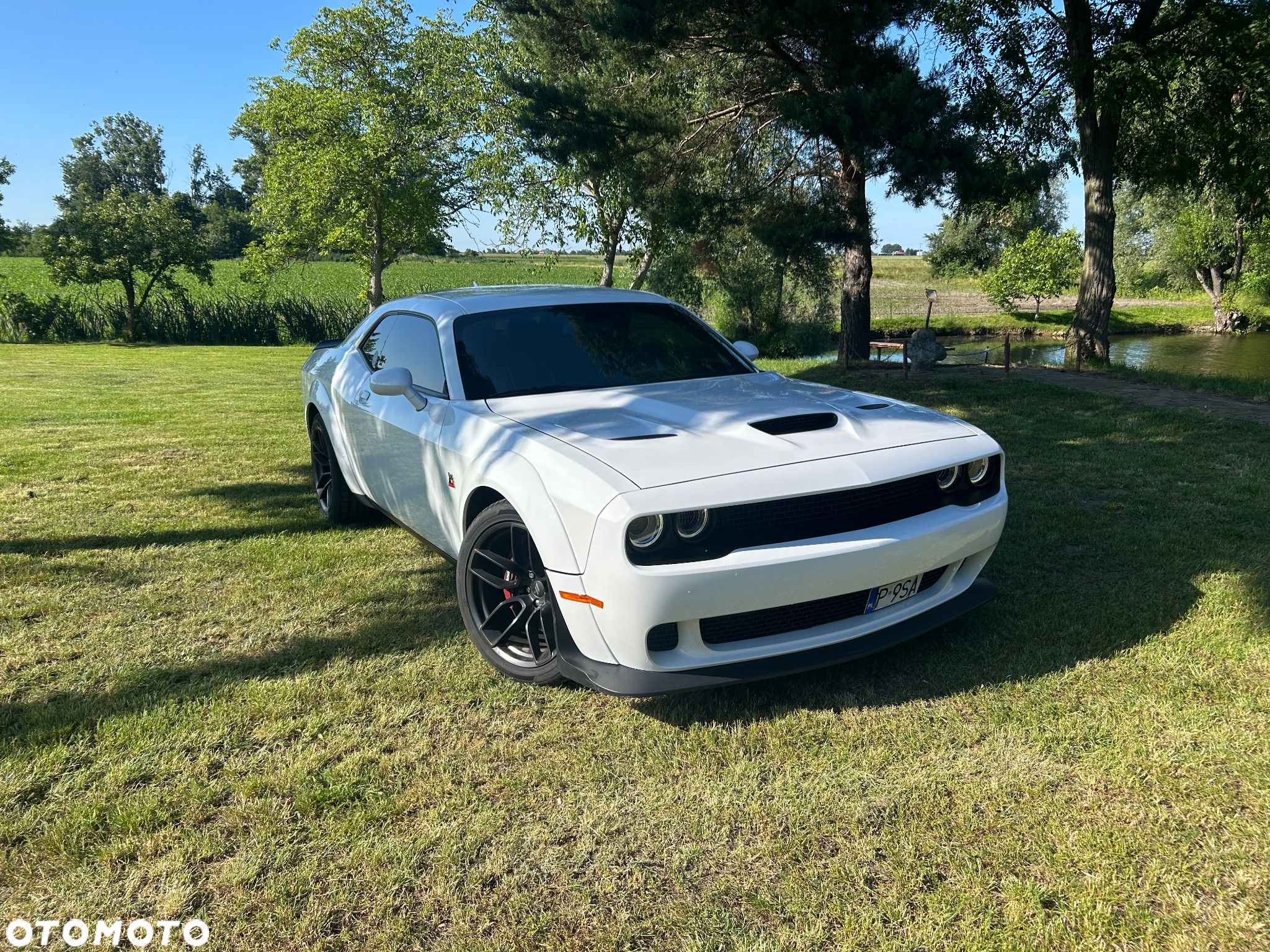 Dodge Challenger 6.4 Scat PackWidebody - 1