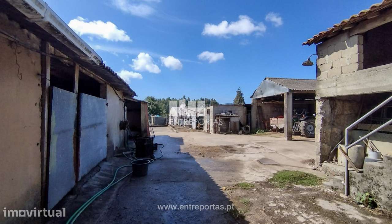 Venda de Moradia V5, Junqueira, Vila do Conde - Grande imagem: 2/23