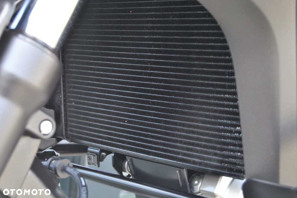 Suzuki DL - 25