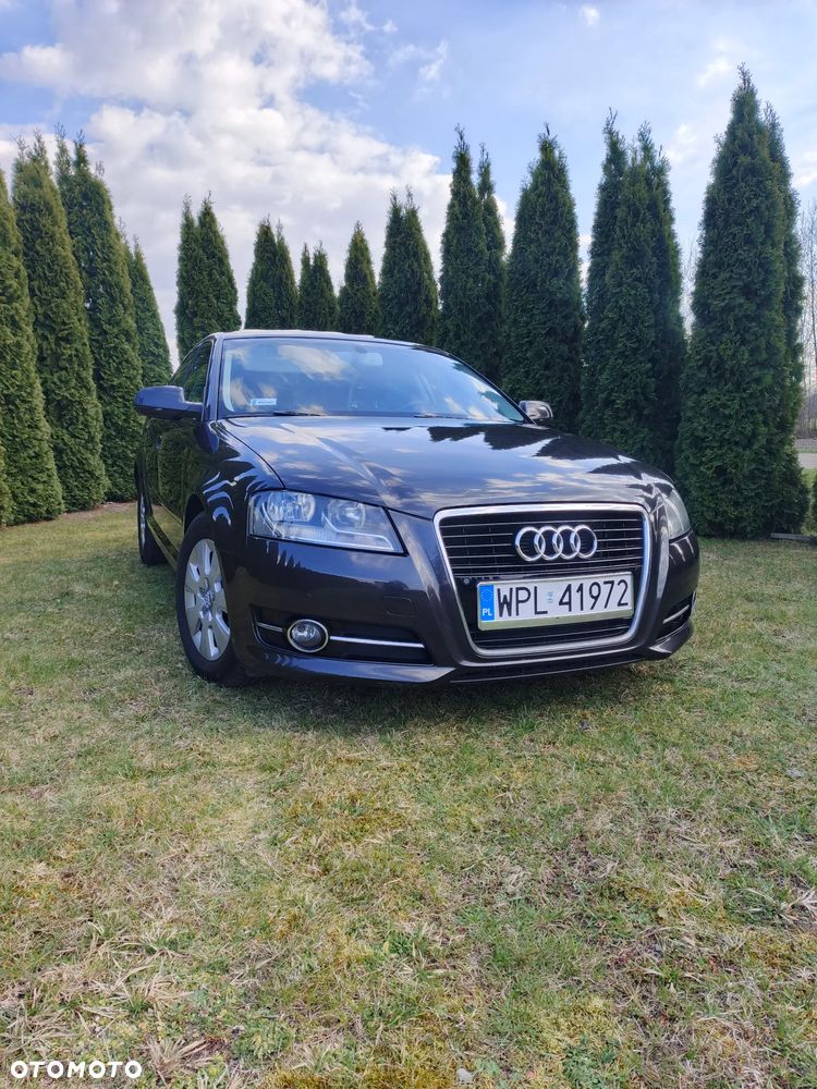 Audi A3 Sportback 1.6 TDI Attraction - 8