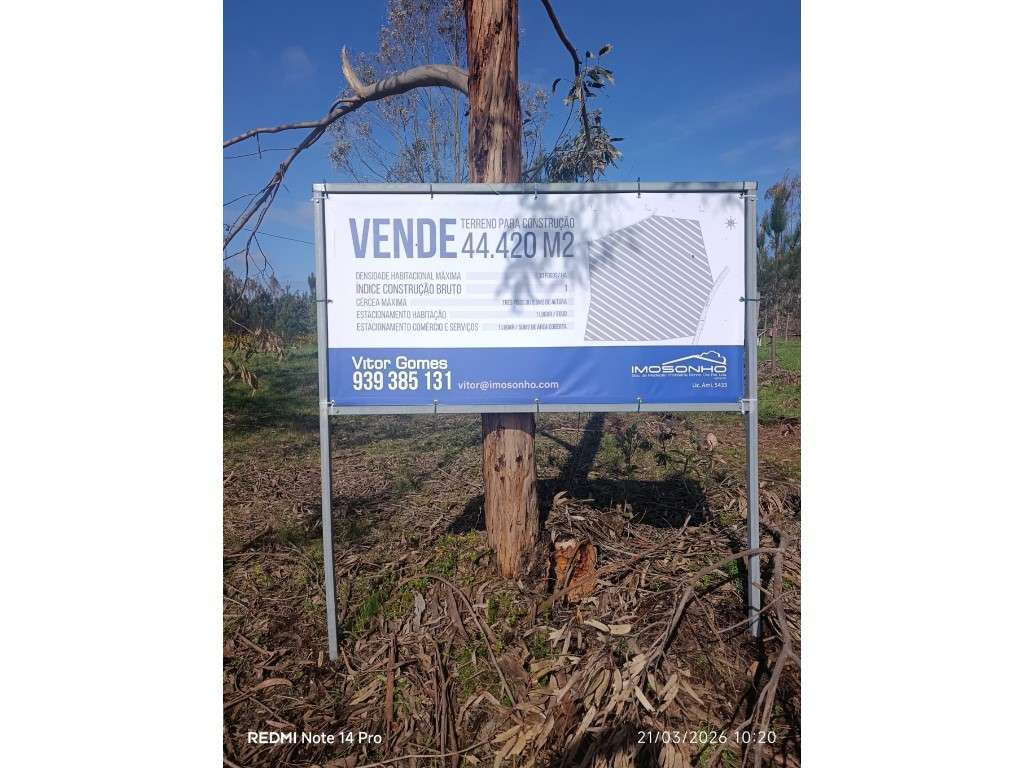 Terreno Disponível para Habitação ou Industria - Grande imagem: 5/14