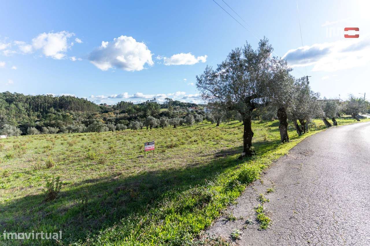 TERRENO COM 6.316,50 M2 SITUADO EM ATOUGUIA NUMA ZONA HABITACIONAL ... - Grande imagem: 3/14