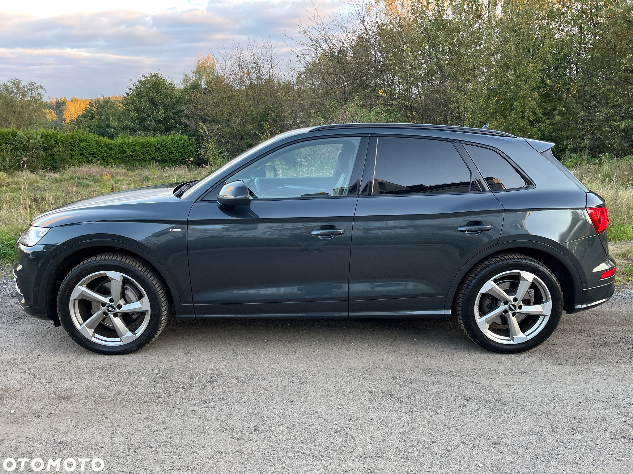 Audi Q5 - 8