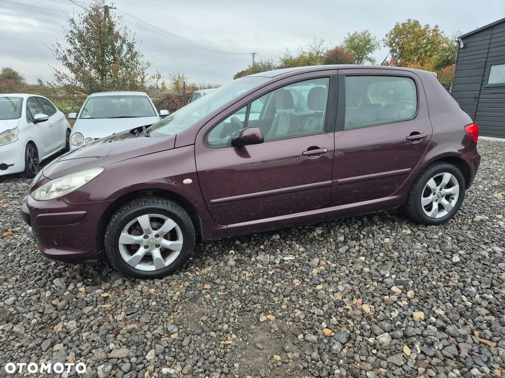 Peugeot 307 1.6 Premium - 10