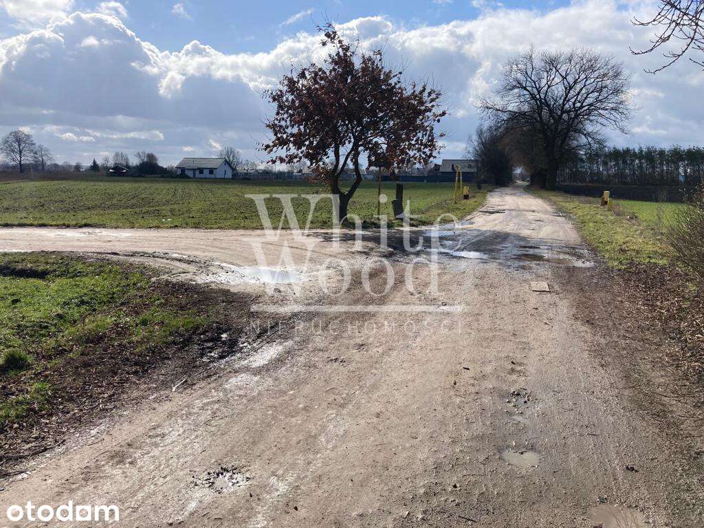 Deszczno k. Gorzowa - działki z gotową koncepcją W - Pełny obrazek: 3/8