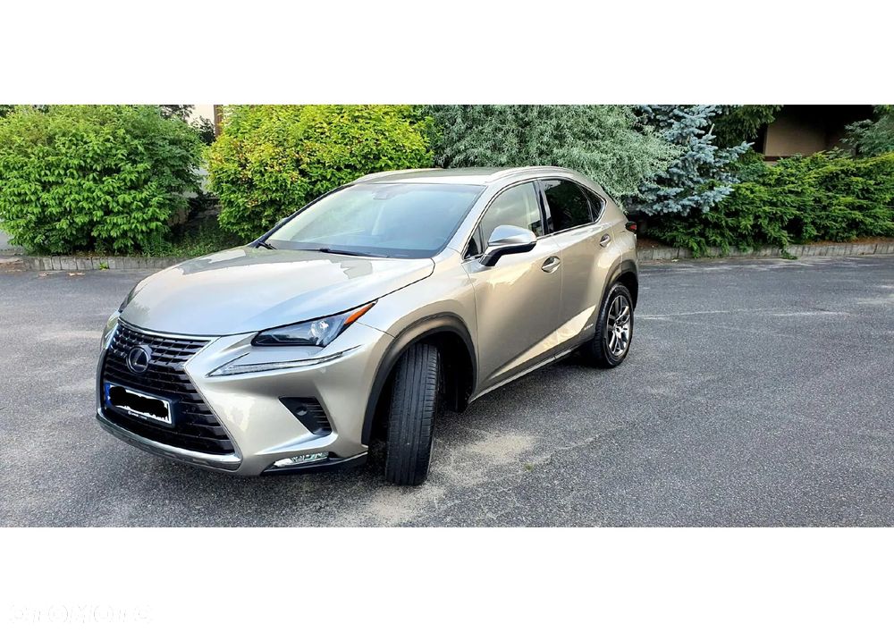 Lexus NX 300h Comfort AWD - 1