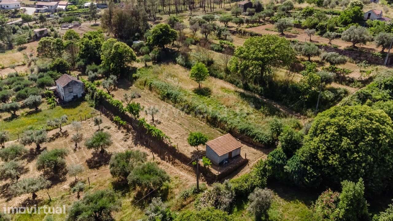 Terreno / Covilhã, Paul - Grande imagem: 3/8