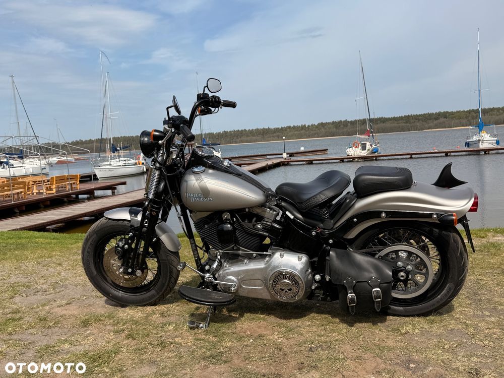 Harley-Davidson Softail Cross Bones - 10