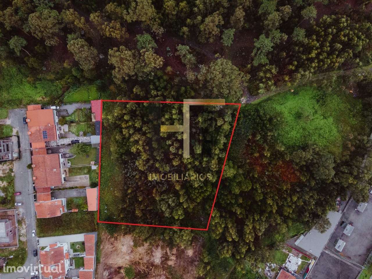 Terreno Rústico | 6.342m² em Gemunde | Oportunidade Única de Invest - Grande imagem: 4/21