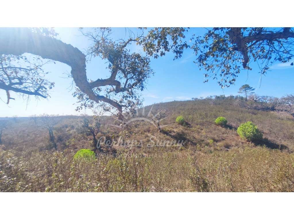 Terreno Rústico - Grande imagem: 4/26