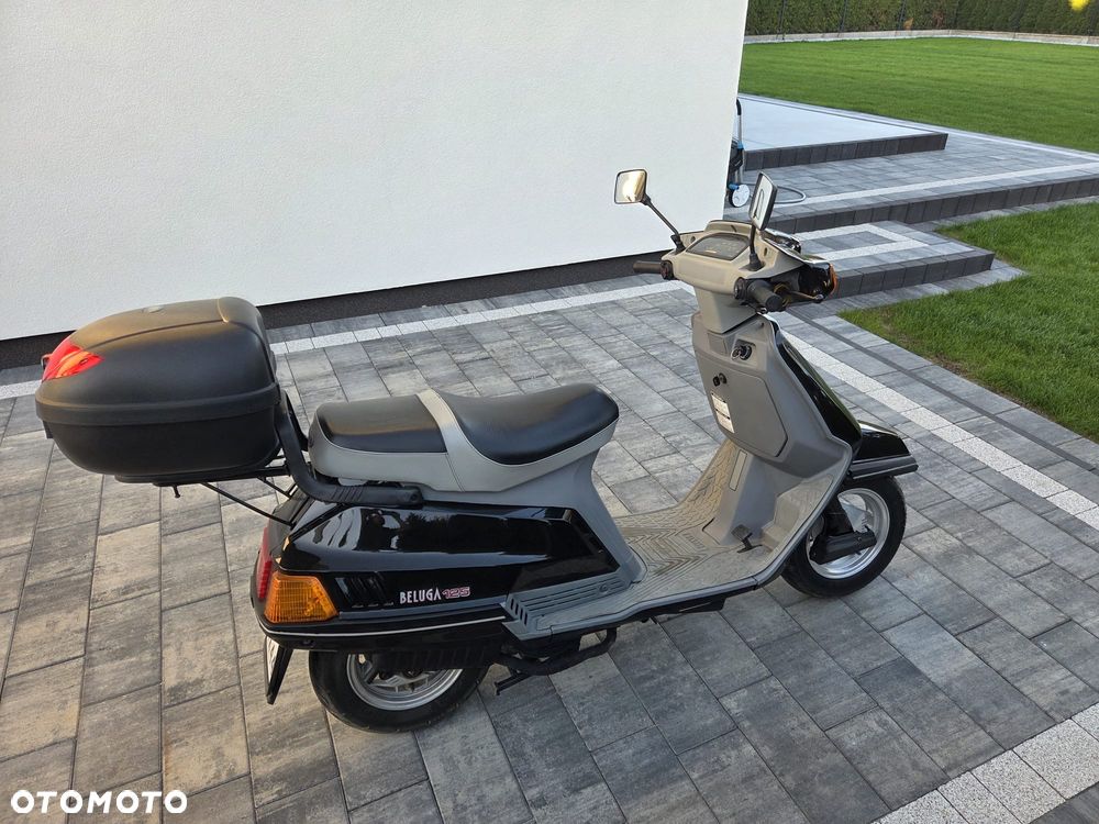 Yamaha Beluga - 12