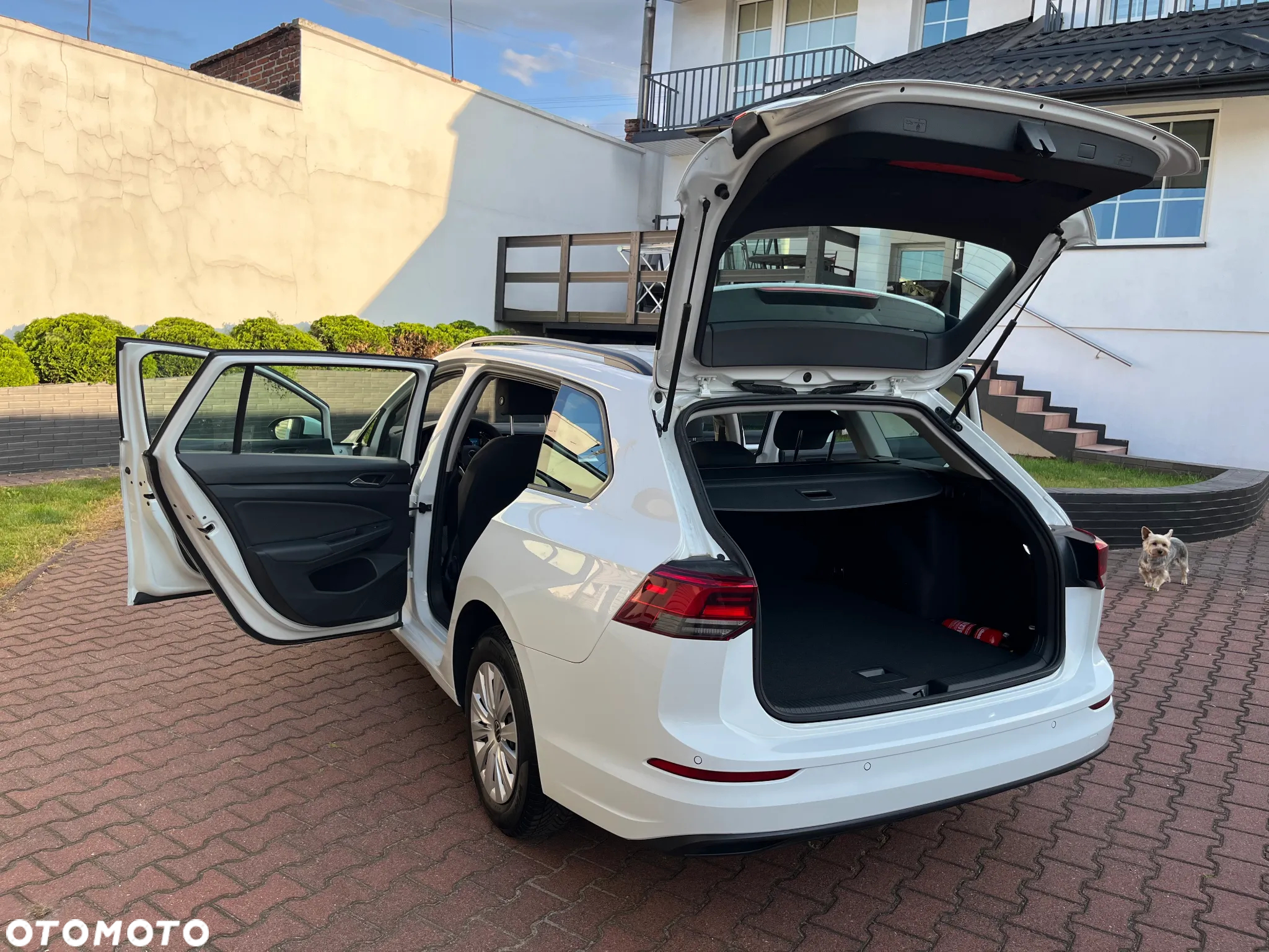 Volkswagen Golf VIII 1.0 TSI Life - 26