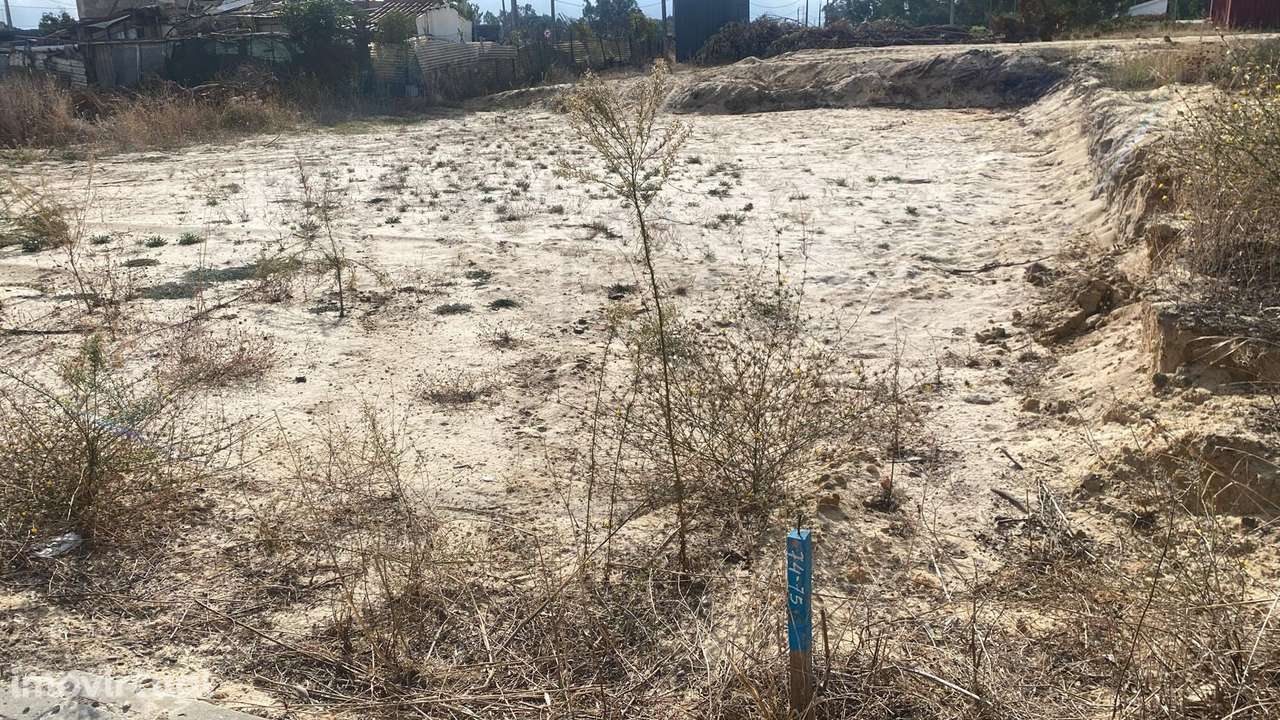 Terreno Proximo a Fertagus Penalva - Grande imagem: 4/11