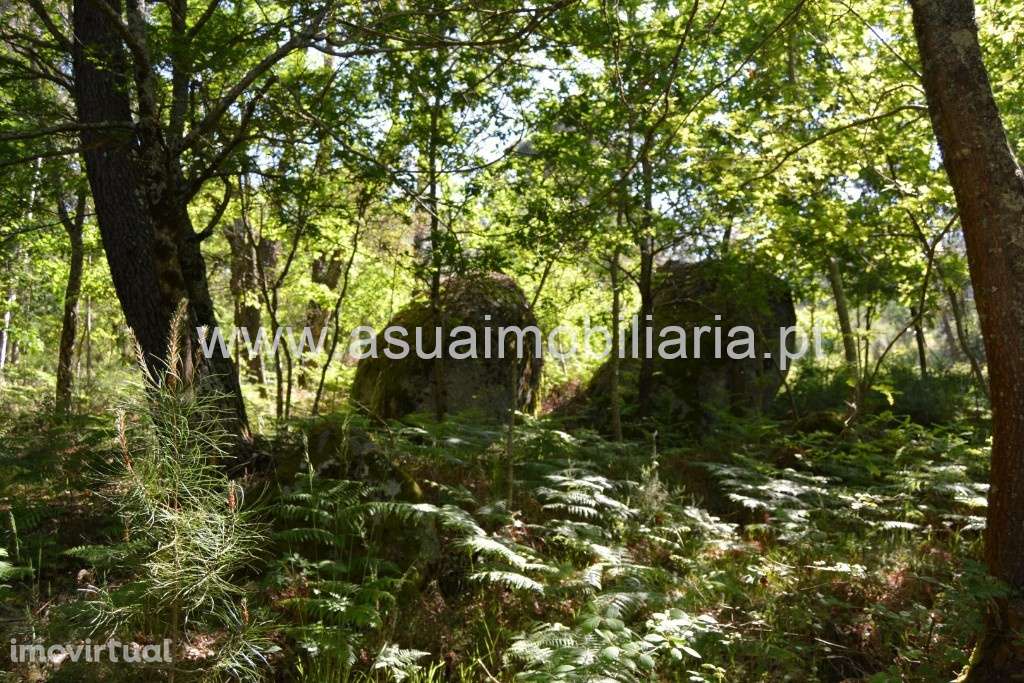 Terreno - Caires - Grande imagem: 3/5