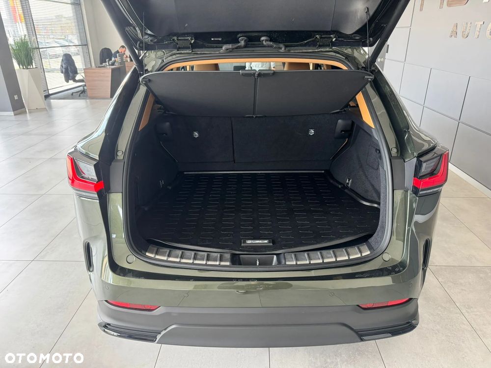 Lexus NX - 21