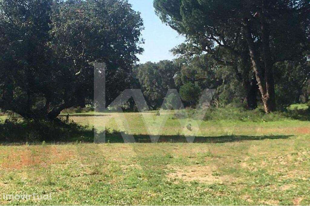 Herdade Exclusiva de 29 Hectares na Marateca, próxima de Águas de Mour - Grande imagem: 4/19
