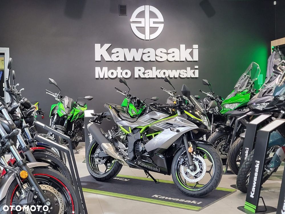 Kawasaki Ninja - 2
