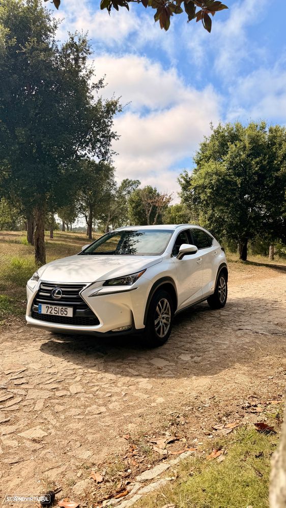 Lexus NX 300h F Sport 4WD - 1