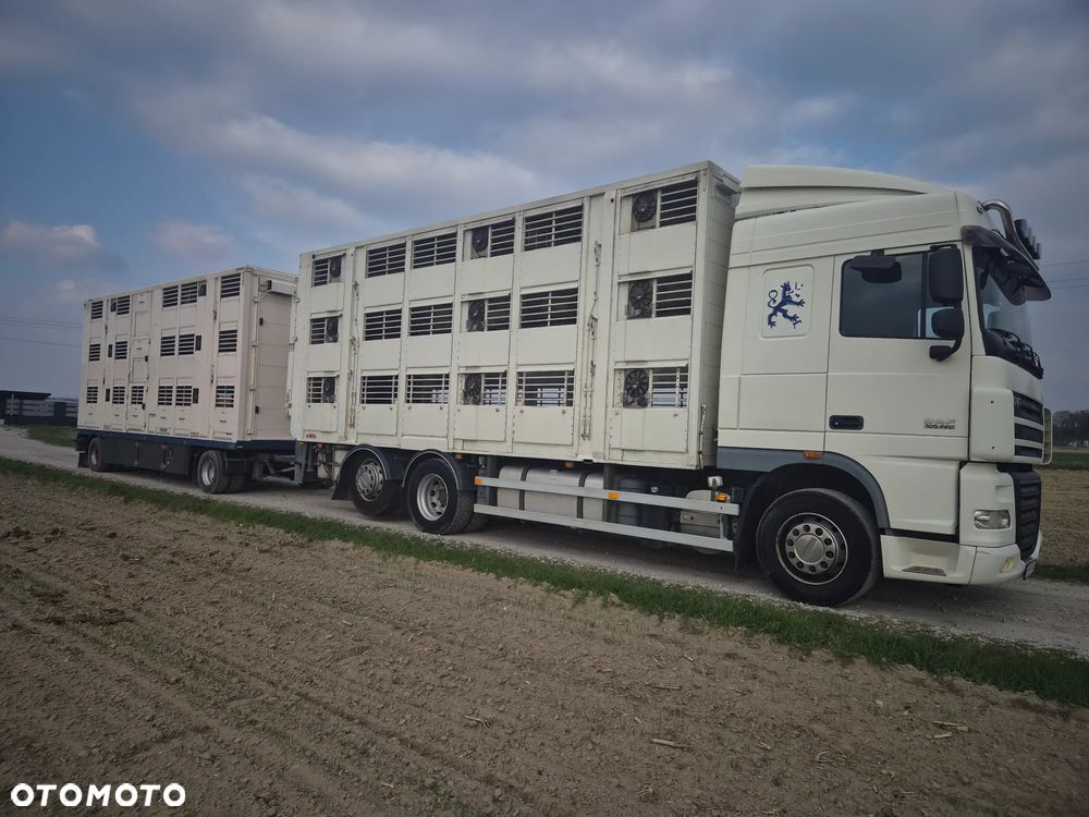 DAF XF 105 460KM - 3
