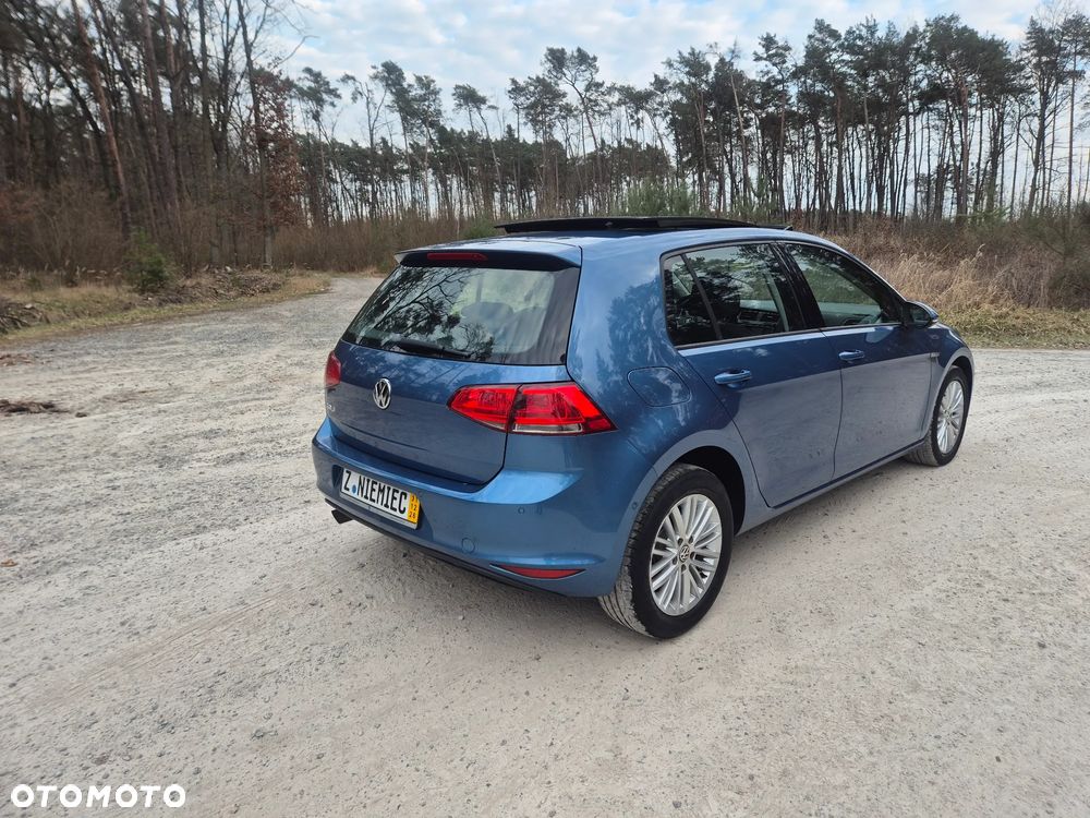 Volkswagen Golf - 6