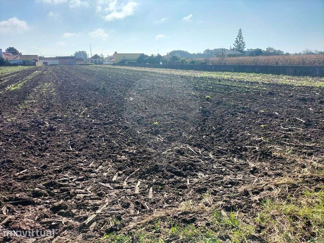 Terreno  para venda - Grande imagem: 2/6