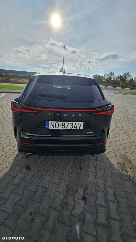 Lexus NX - 4