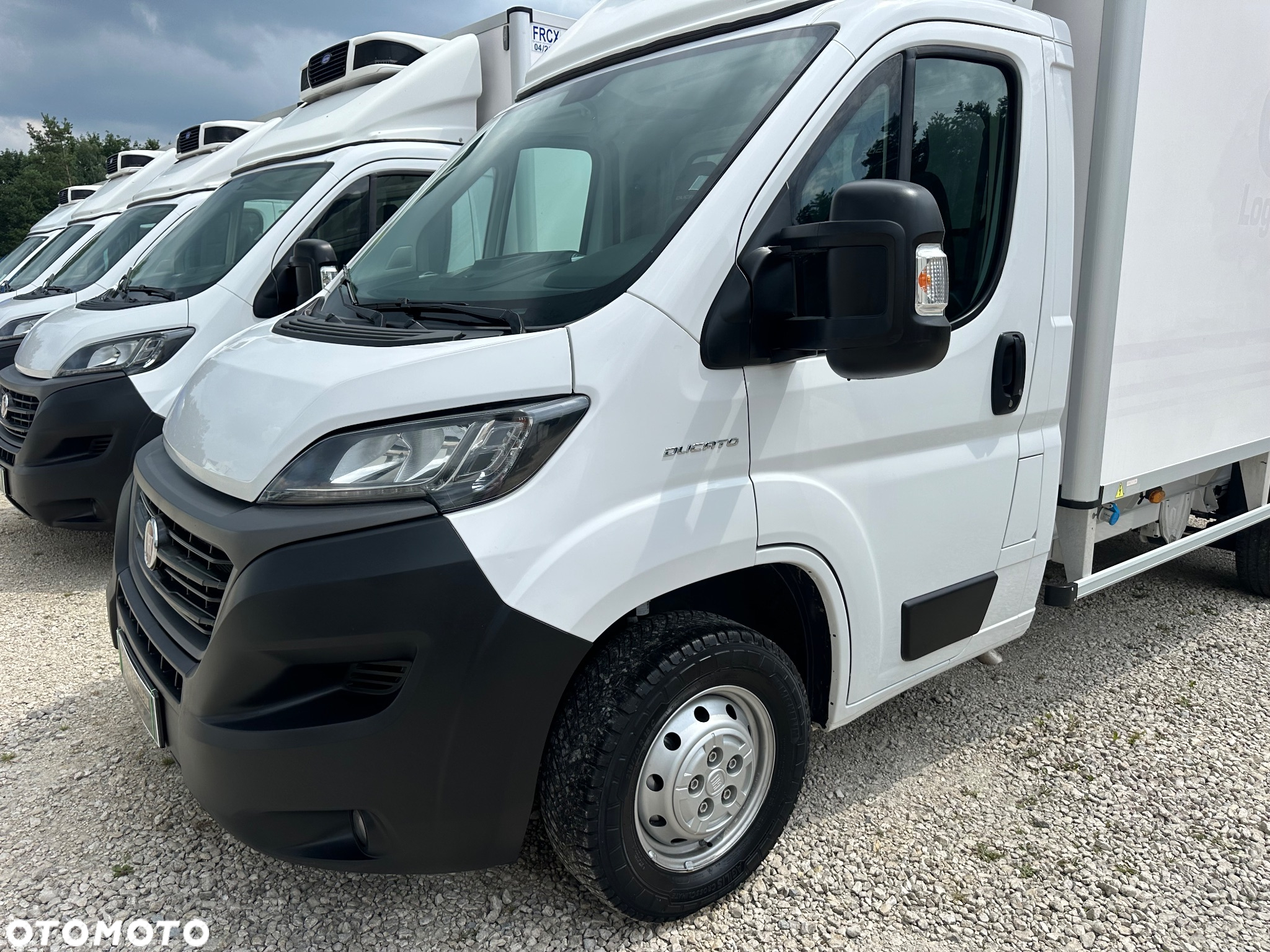 Fiat Ducato Mroźnia -25*C / Nowy Model / perfekcyjny stan - 2