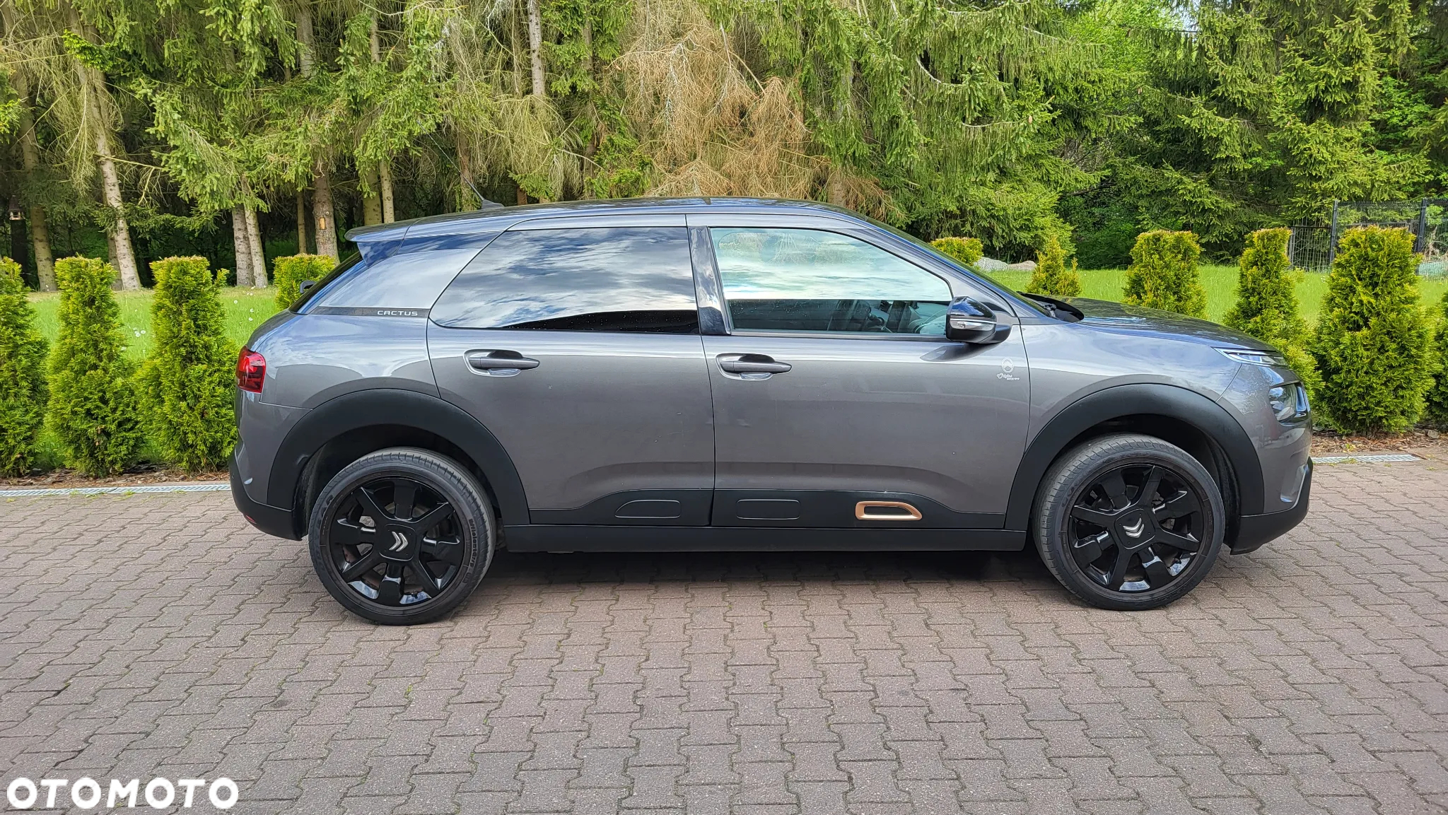 Citroën C4 Cactus 1.2 PureTech Origins S&S - 2