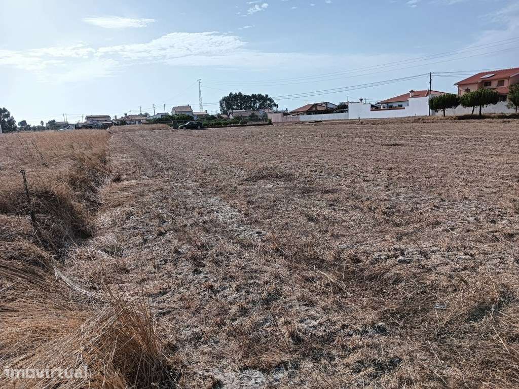 Terreno na Gafanha da Encarnação - Grande imagem: 5/12