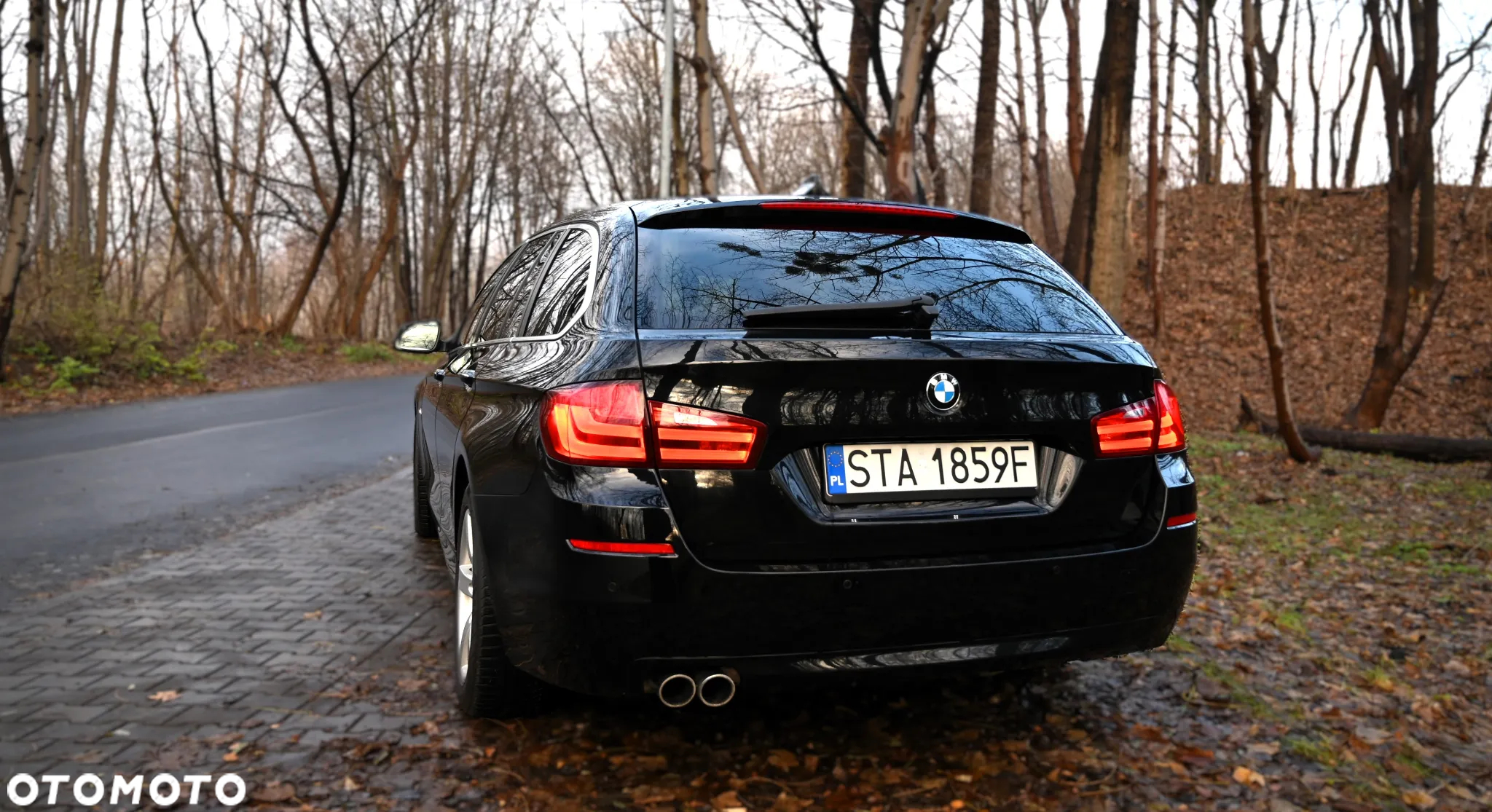 BMW Seria 5 - 11