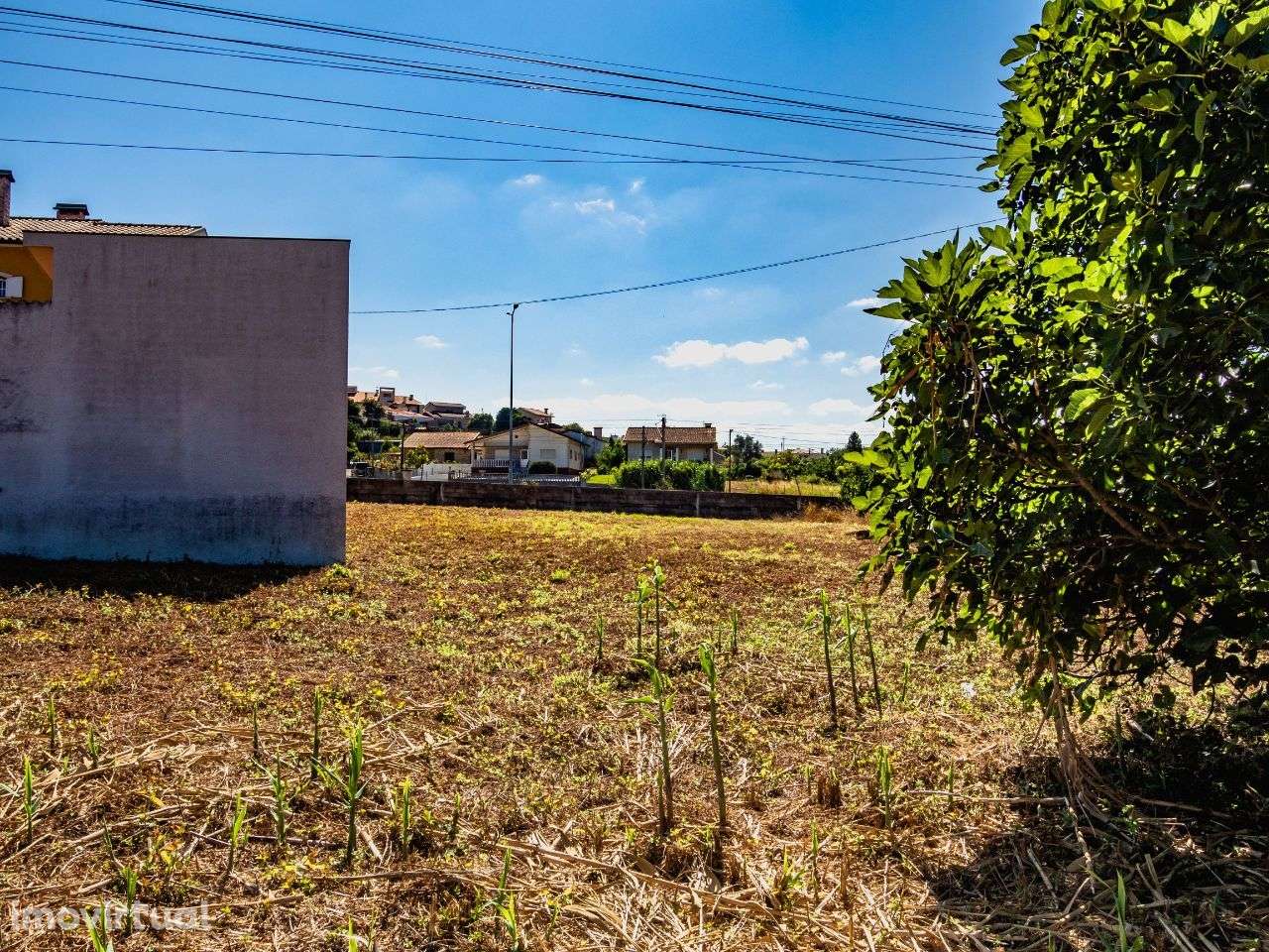 Terreno para construção de moradia isolada, Oiã, Oliveira do Bairro - Grande imagem: 4/13