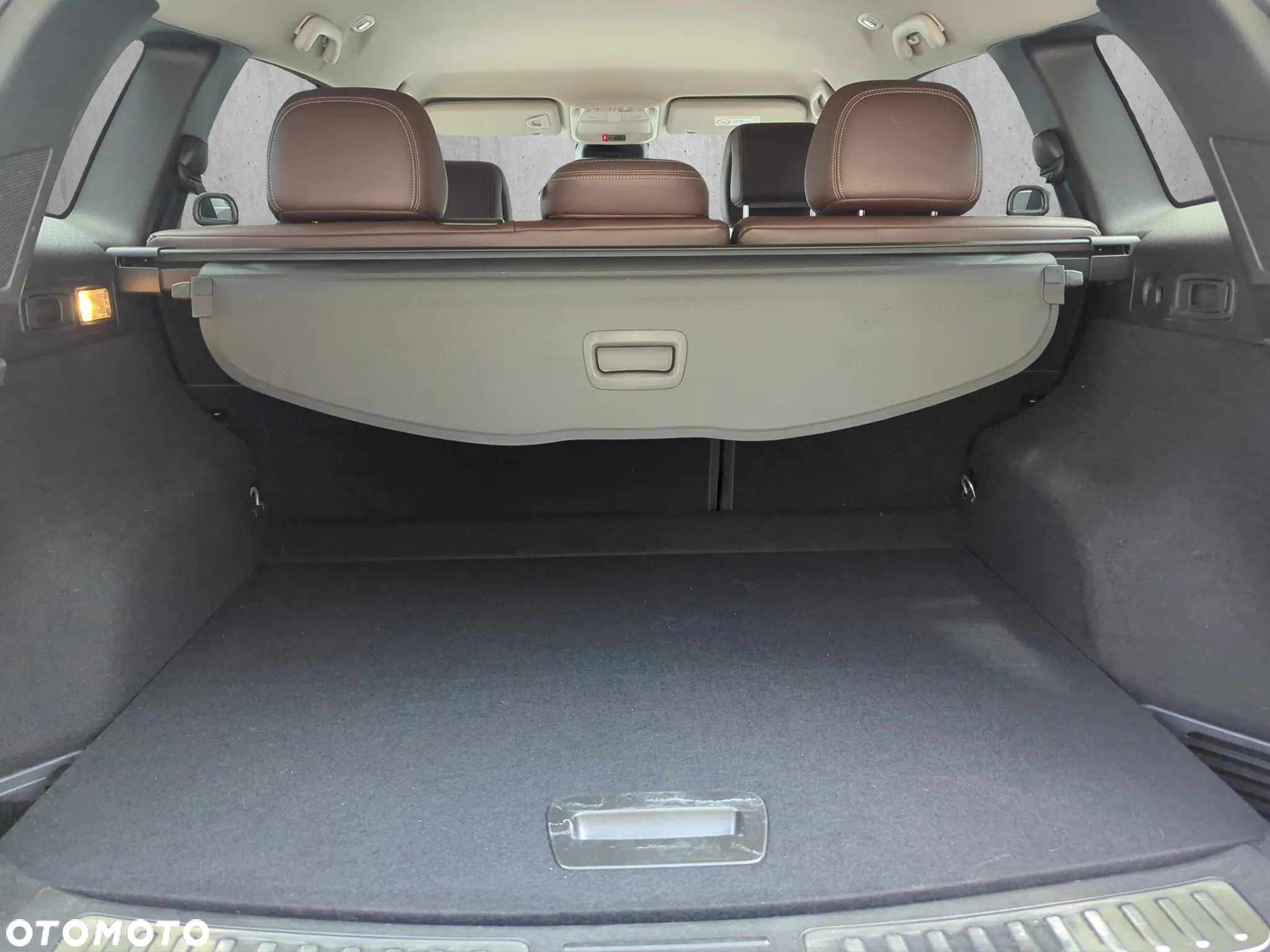 Renault Koleos 1.6 dCi Intens - 19