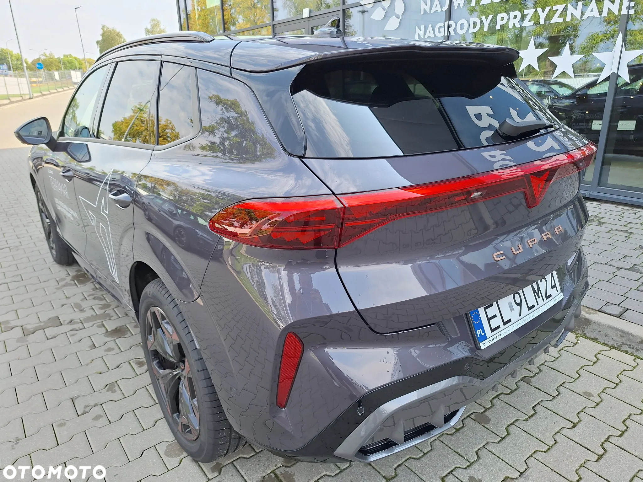 Cupra Terramar - 6