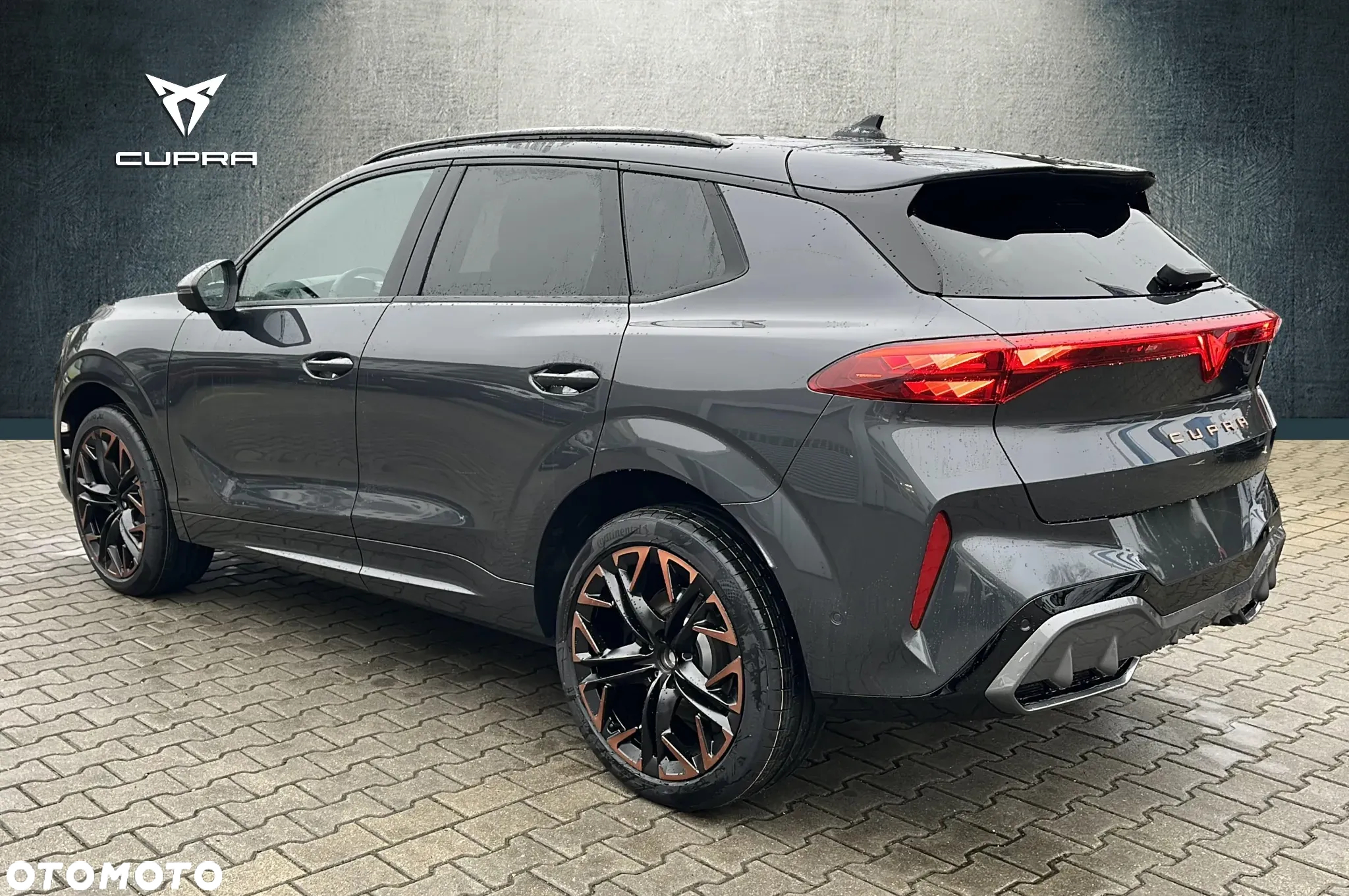 Cupra Terramar 2.0 TSI 4Drive DSG - 3
