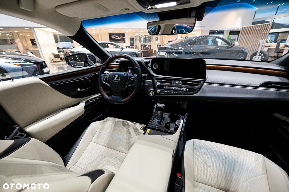 Lexus ES 300h Omotenashi - 22