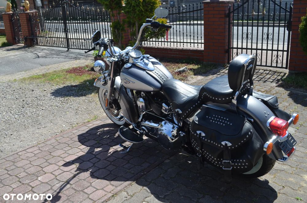 Harley-Davidson Softail - 5