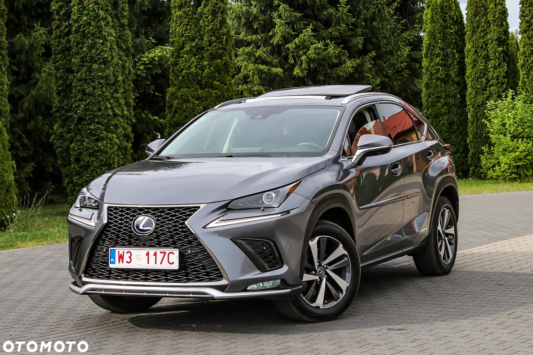 Lexus NX 350h Prestige AWD - 3