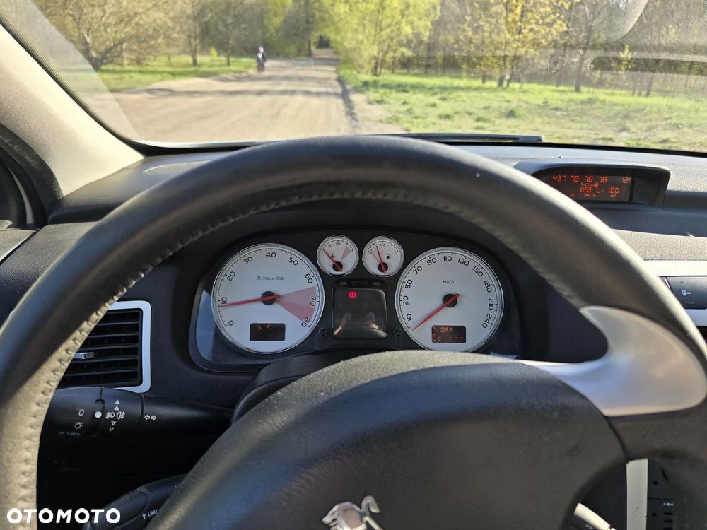 Peugeot 307 2.0 Premium - 26