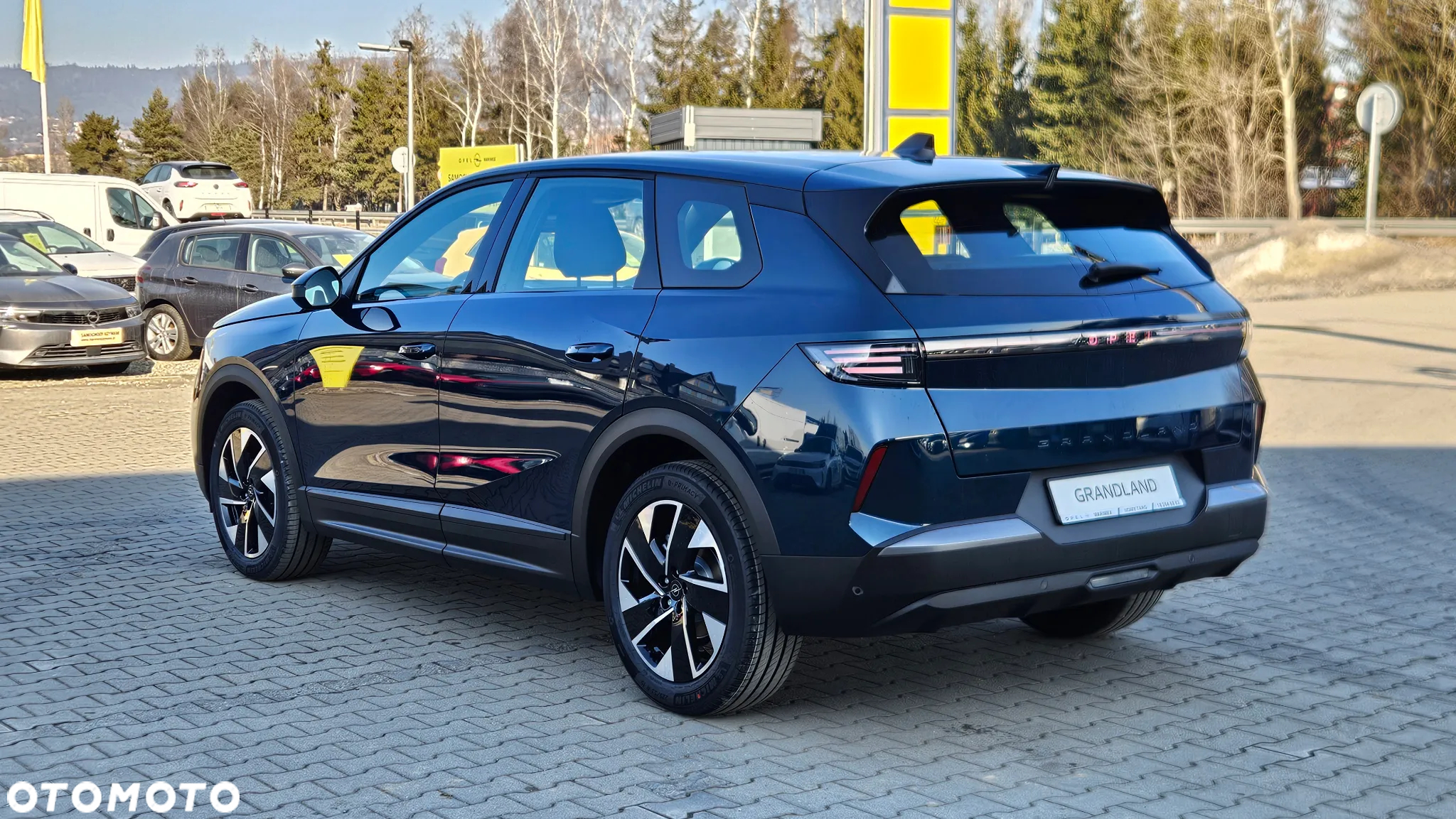 Opel Grandland 1.2 T mHEV Edition S&S eDTC6 - 5