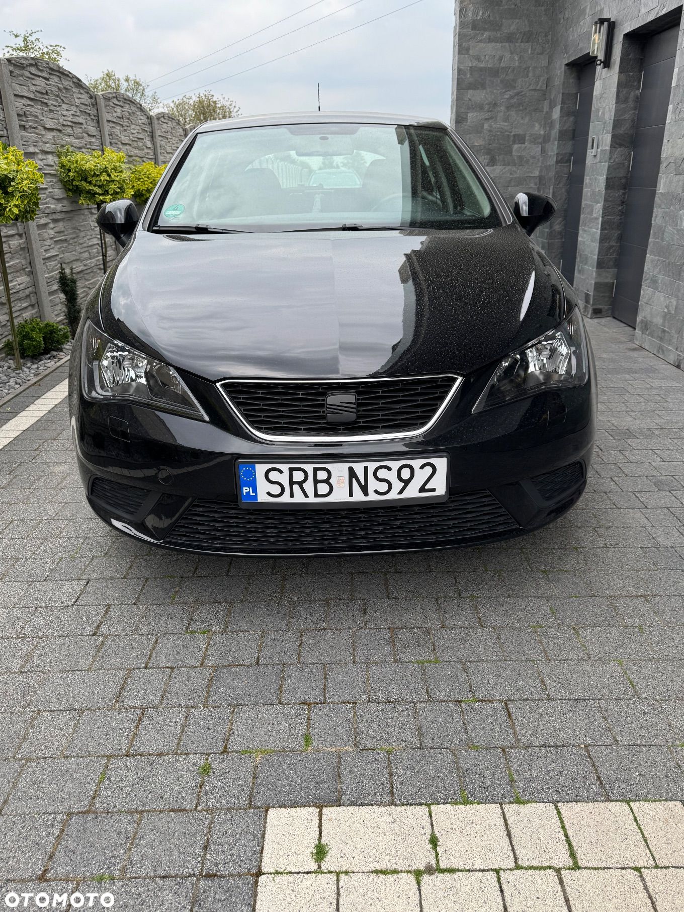 Seat Ibiza 1.2 12V Reference Viva - 1