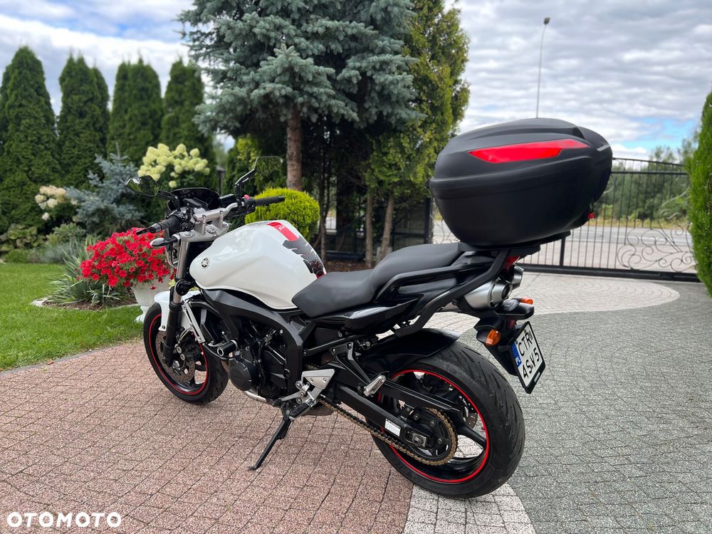 Yamaha FZ6 - 17