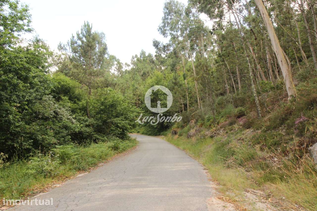 Terreno Celorico de Basto-Borba da Montanha - Grande imagem: 2/4