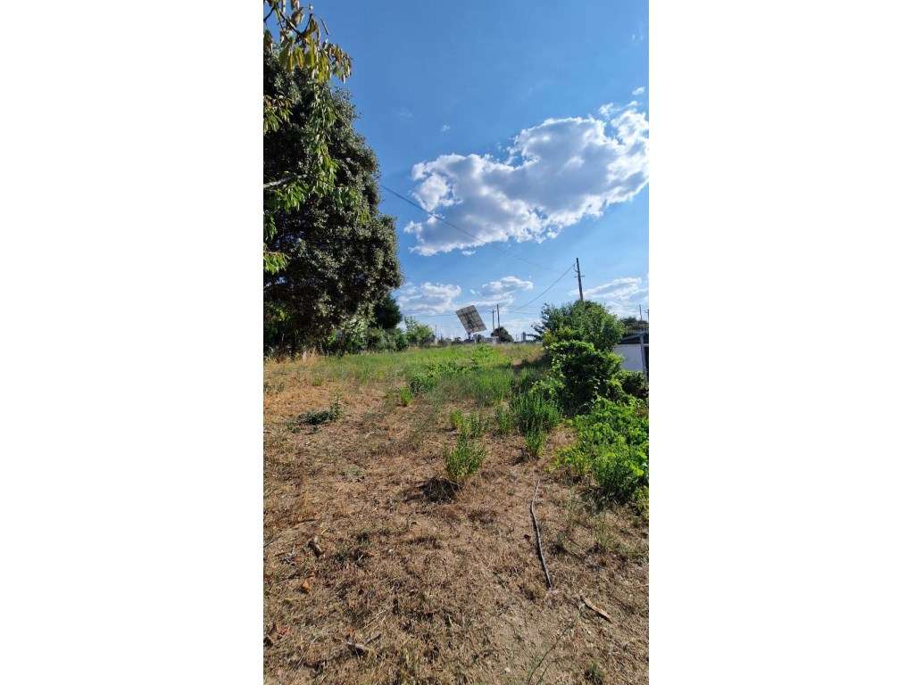 Terreno Rústico de 1998 m2, com poço de água e paineis solares. - Grande imagem: 2/7