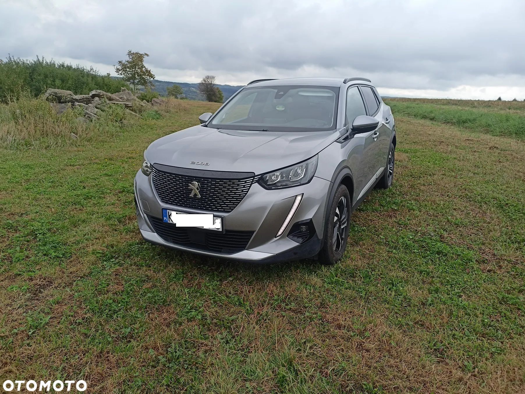 Peugeot 2008 BlueHDi 130 Allure S&S EAT8 - 1