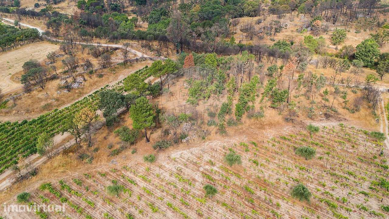 Terreno  para venda - Grande imagem: 4/18