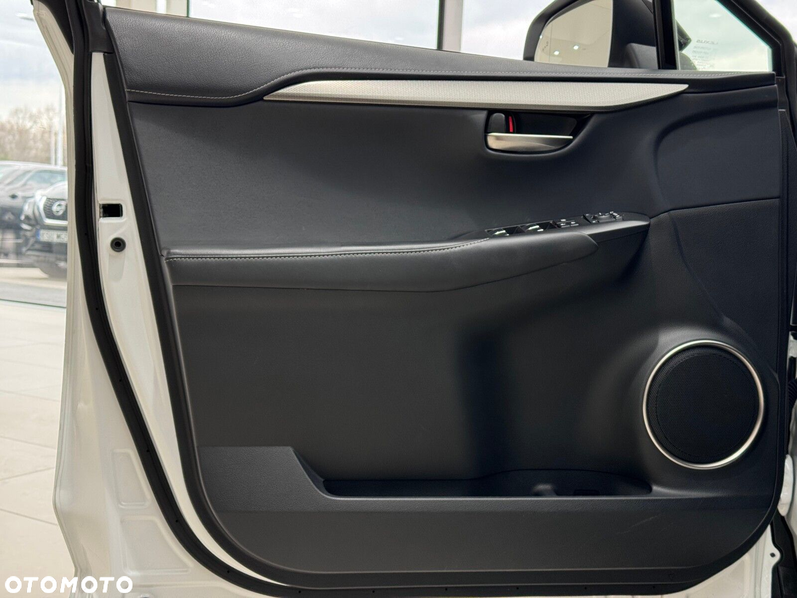 Lexus NX - 12