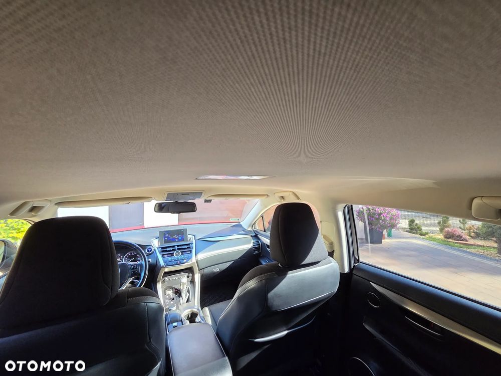 Lexus NX 300h Elite AWD - 22