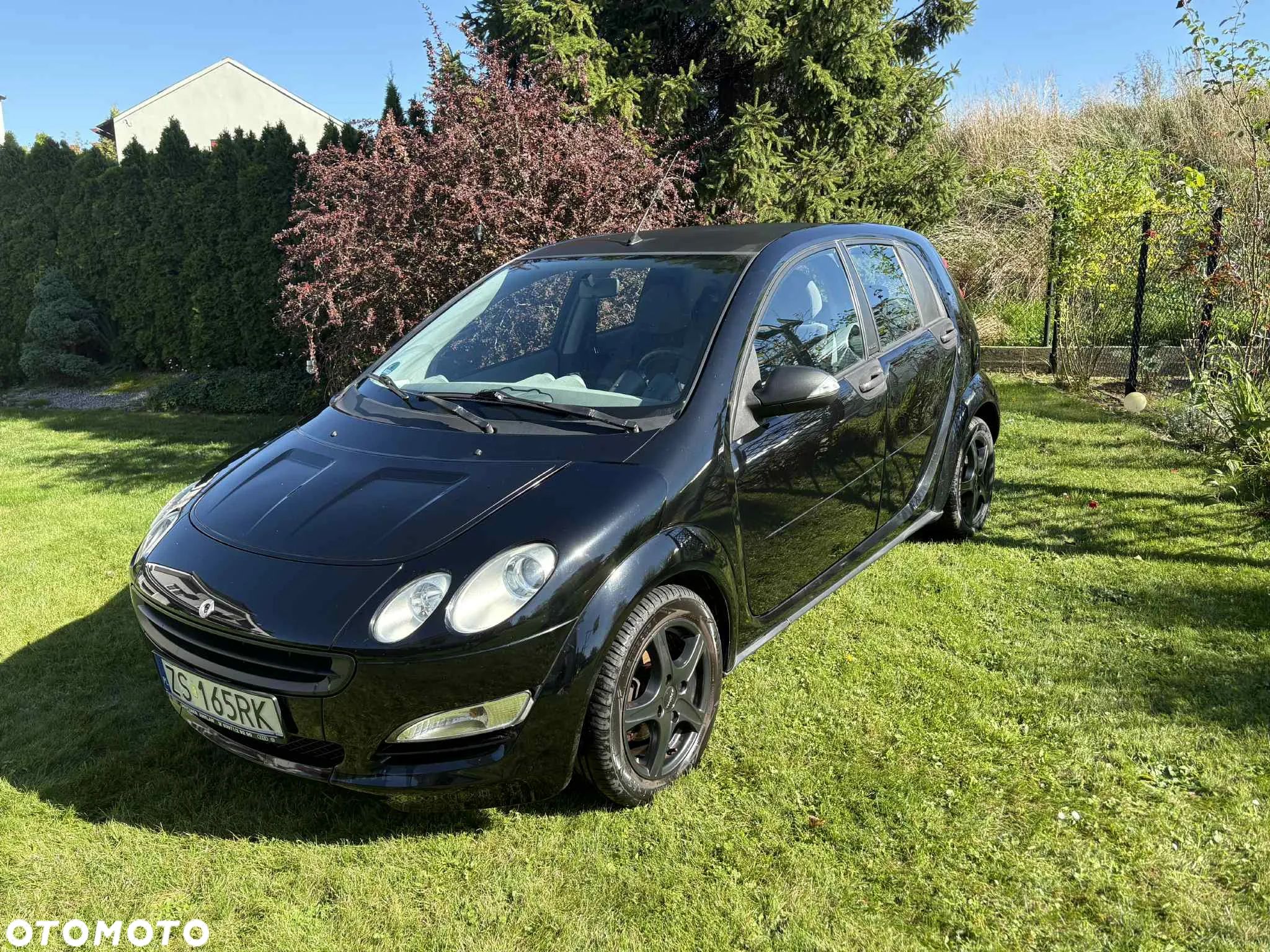 Smart Forfour pure - 1
