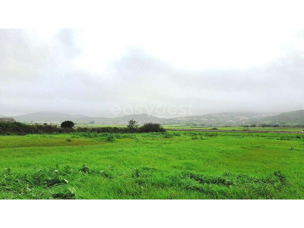 Terreno Rustico em Morelena, a apenas 2,5Km do centro de Pêro Pinheiro - Grande imagem: 3/9